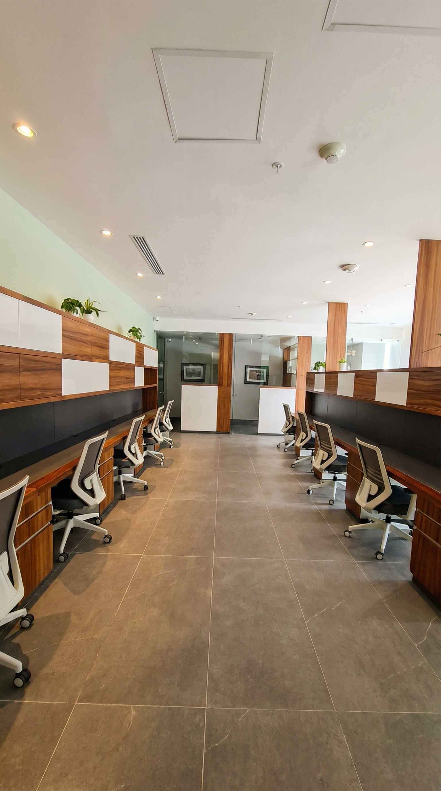 Proyecto desarrollos 5